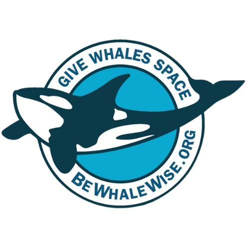 Be Whale Wise logo